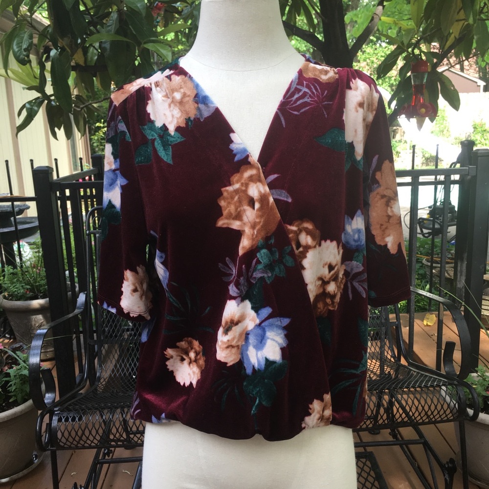 Velvet Blouse
